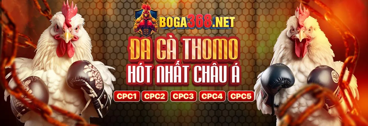 Hình ảnh chính: Mẹo cá cược trực tuyến cho người mới bắt đầu tại 32win11